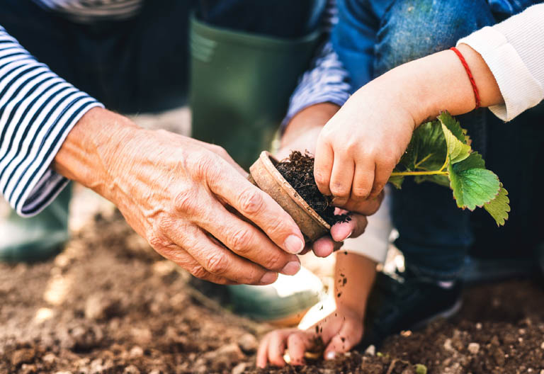 Kind und ältere Person bei der Gartenarbeit